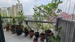 Belysa (D18), Condominium #614648751